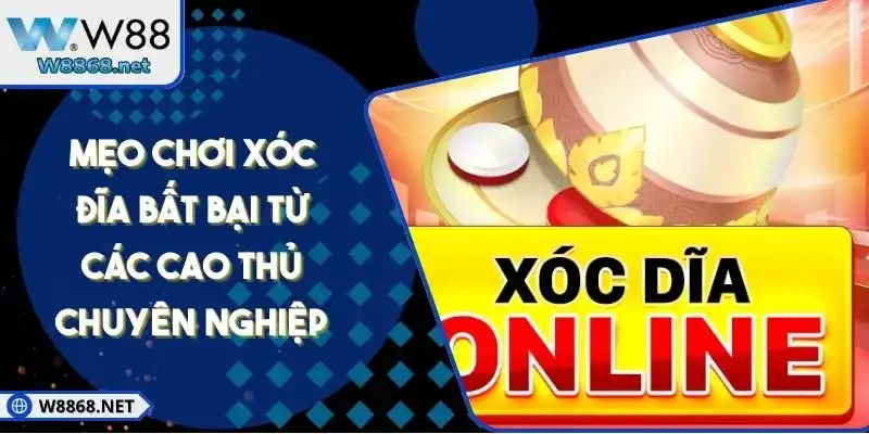 Mẹo Chơi Xóc Đĩa Bất Bại Từ Các Cao Thủ Chuyên Nghiệp